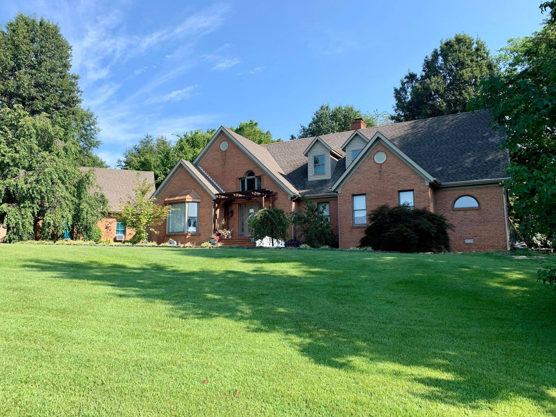 Our family home where every puppy and kitten is raised